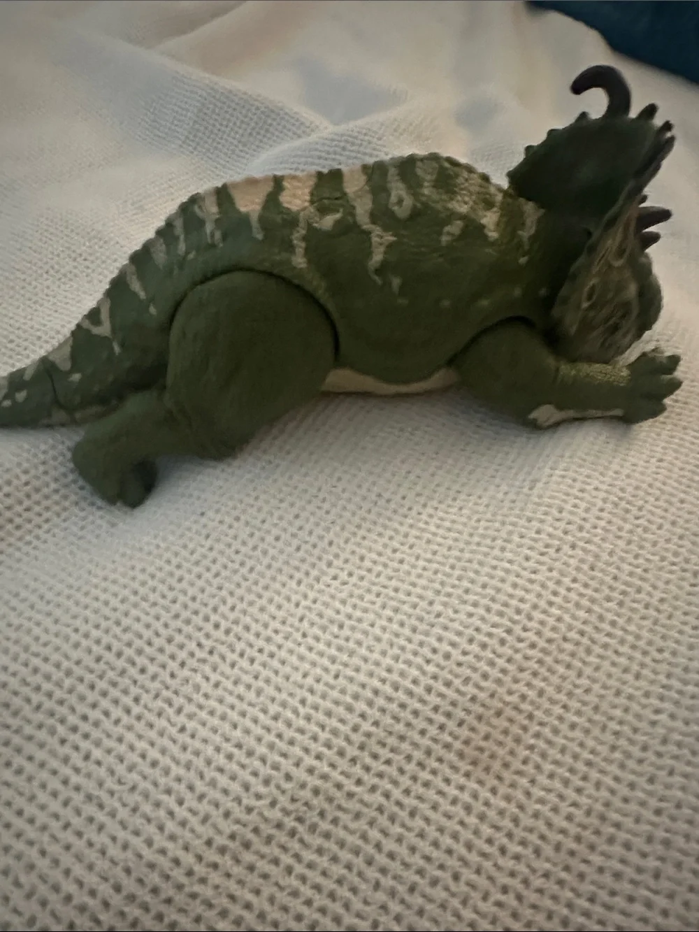 Triceratops figure